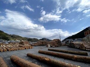 奈良県吉野へ