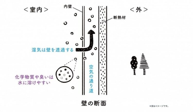 壁の断面図