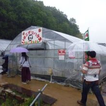 バスツアー奈良県　明日香村