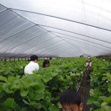 バスツアー奈良県　明日香村