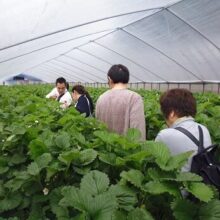 バスツアー奈良県　明日香村