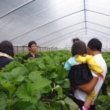 バスツアー奈良県　明日香村